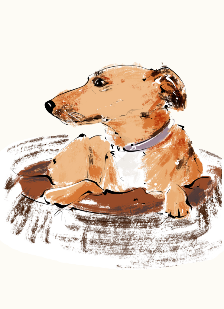 Illustration von Salma, der Feel-Good-Managerin der Steuerkanzlei Kerstin Goetz. Bürohund für ein positives Arbeitsklima.